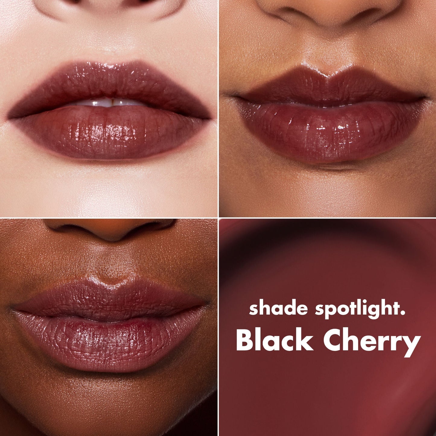 lip-lacquer-j4 0426_EDU_LipLaquer_ShadeChart_BlackCherry.jpg