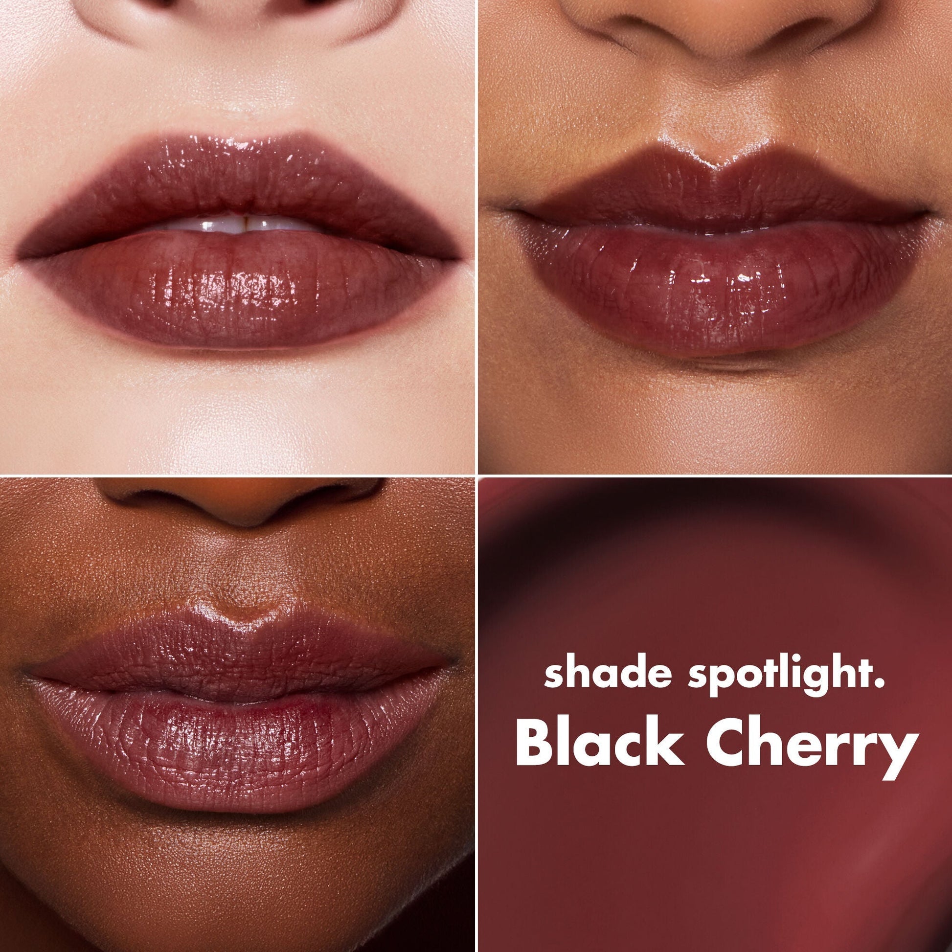 lip-lacquer-j4 0426_EDU_LipLaquer_ShadeChart_BlackCherry.jpg