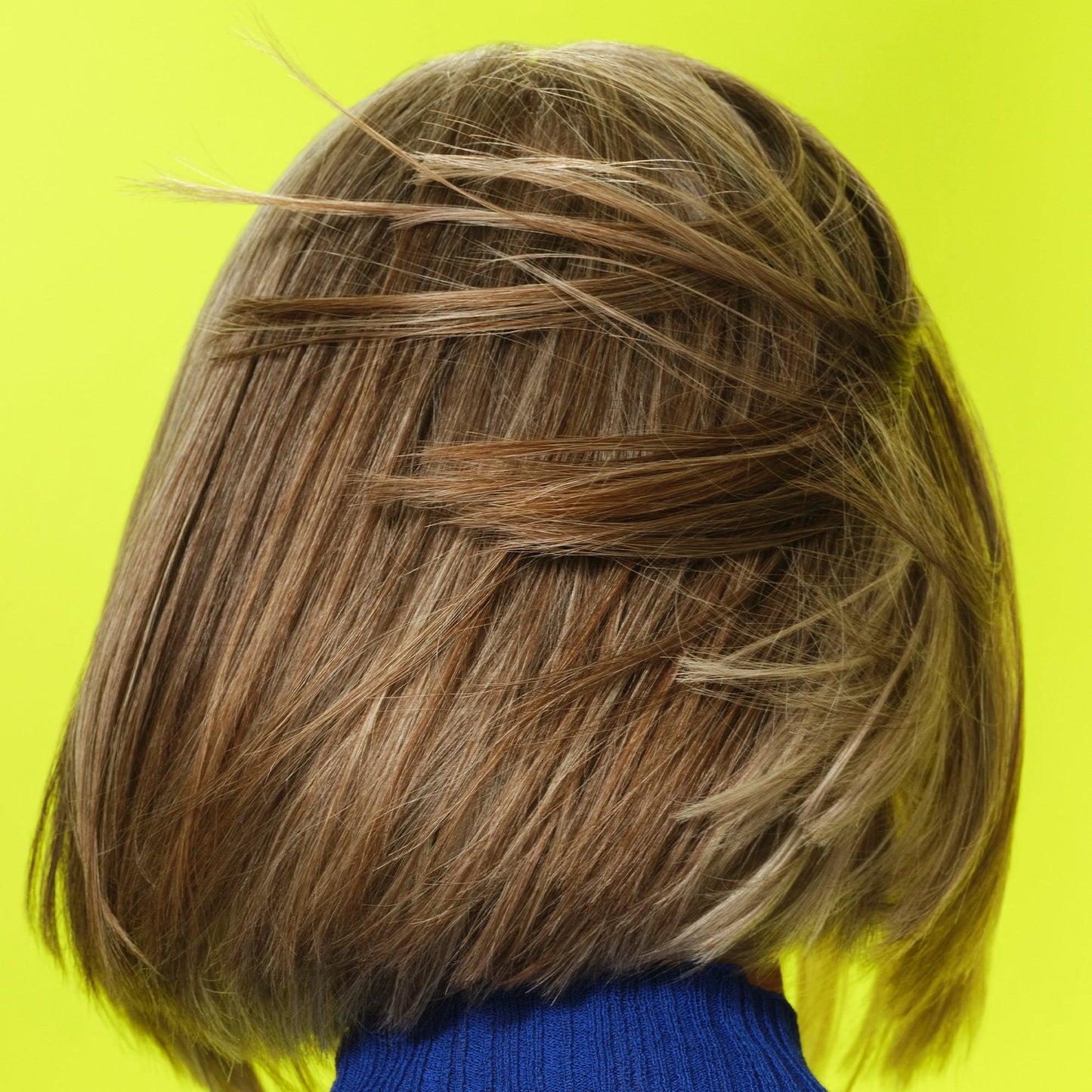 frizz-to-rizz-trio-l4 111725_Vicky_HumidityAntifrizz-Editorial_0538_w2QC_IGF_1x1_05a09617-4ccf-44a2-8545-199321a503e1.jpg