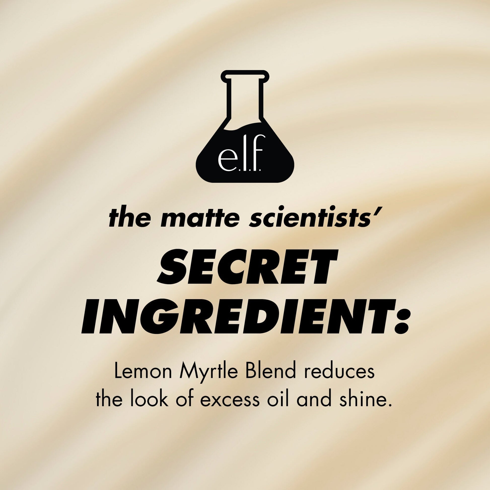 power-grip-matte-primer-c7 1224_EDUCATION_PGMATTE_INGREDIENT_b9de063f-aeb5-403f-9709-c3cafbf9c9d1.jpg