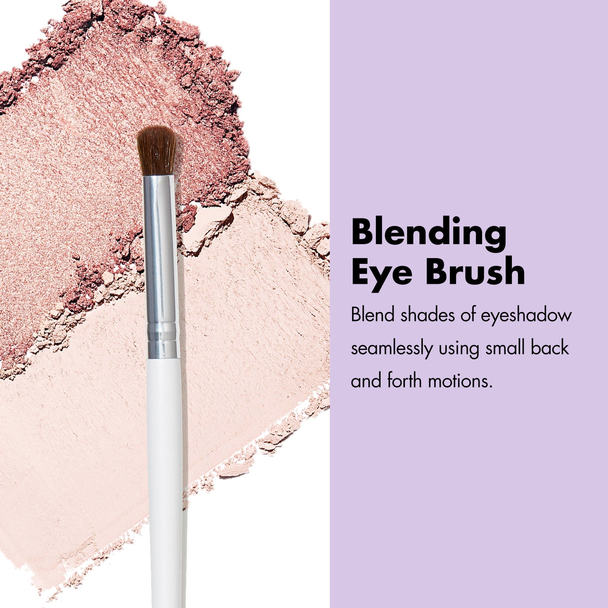 professional-set-of-12-makeup-brushes-e3 ProfessionalBrushes_Eye_BlendingEyeBrush_PDP_Edu_2000x2000_26193f3d-8d6e-4a03-b37f-ee11744d01a8.jpg