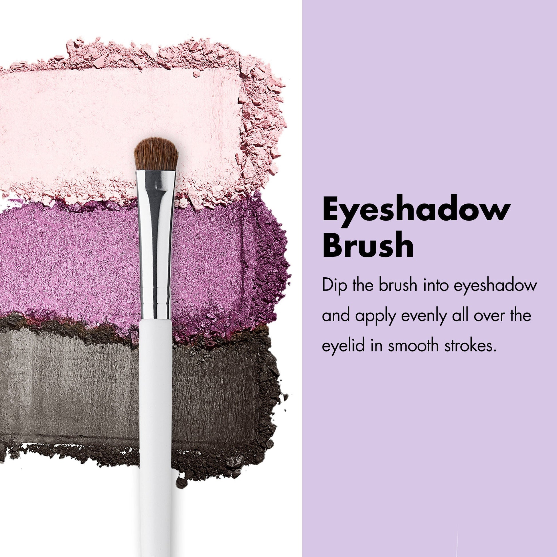 professional-set-of-12-makeup-brushes-e3 ProfessionalBrushes_Eye_EyeshadowBrush_PDP_Edu_2000x2000_2418e3b8-bb65-4e6d-af53-e6d0aab002ae.jpg